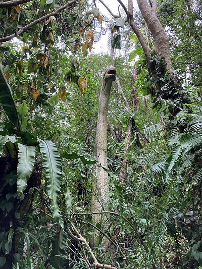 DINO恐竜PARK やんばる亜熱帯の森
恐竜
