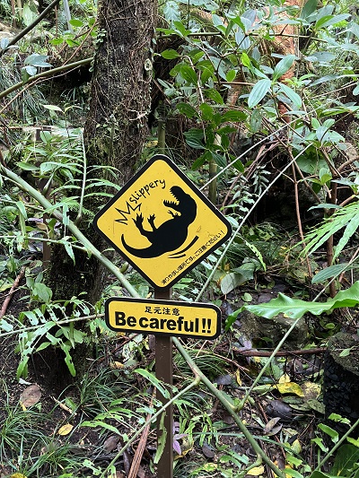 DINO恐竜PARK やんばる亜熱帯の森
足元注意
